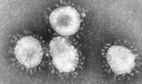 Virus Corona. Salah satu cara hindari virus corona atau virus lain adalah dengan menghindari kebiasaan menyentuh wajah.