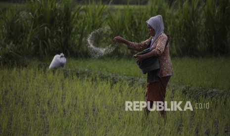 Petani memupuk padi di area persawahan Desa Bokoharjo, Prambanan, Sleman, DI Yogyakarta, Ahad (26/1/2020).