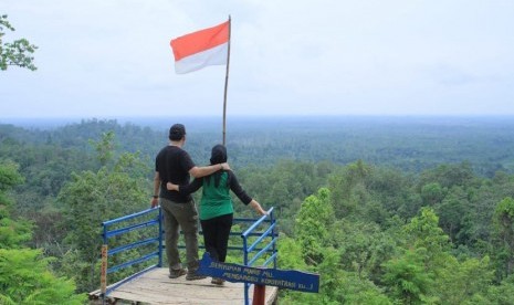 Bukit Pendape  yang terletak di Dusun IV Jebang Desa Keramat Jaya Kecamatan Sungai Keruh merupakan wisata alam yang potensial di Kabupaten Musi Banyuasin.