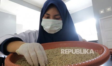 Pekerja memilih biji lada yang akan dikemas di Kota Pangkalpinang, Kepulauan Bangka Belitung. Untuk meningkatkan pangsa di pasar lada dunia, Indonesia bersama pemerintah harus bisa menjaga produksi dari hulu ke hilir. 