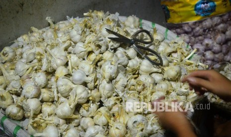 Pekerja menyortir bawang putih di Pasar Bitingan, Kudus, Jawa Tengah, Senin (3/2/2020). Harga bawang putih secara nasional naik 5,62 persen.