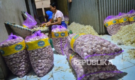 Pekerja menyortir bawang putih di Pasar Bitingan, Kudus, Jawa Tengah, Senin (3/2/2020).