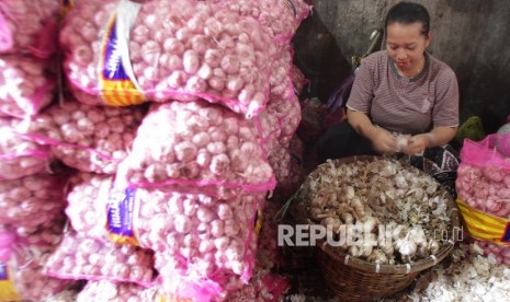 Pekerja mengupas bawang putih impor dari China sebelum dijual ke pasar di Gudang bawang di Malang, Jawa Timur, Selasa (4/2/2020).