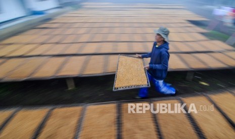 Petani mengeringkan tembakau di Kampung Tembakau, Kecamatan Sukasari, Kabupaten Sumedang, Jawa Barat, Rabu (5/2/2020). 