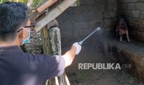 Tim medis dari Dinas Pertanian Kota Denpasar menyemprotkan disinfektan ke kandang babi milik warga di Denpasar, Bali, Rabu (5/2/2020)