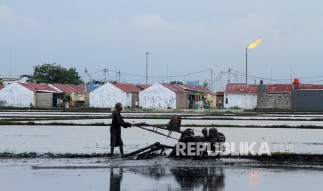 Petani menggarap lahan di areal persawahan dengan latar belakang kawasan perumahan, di Babelan, Kabupaten Bekasi, Jawa Barat, Kamis (6/2/2020).Bappenas memfasilitas kerja sama antara PT Indonesia Mecca Tower dengan PT Bayarind Artha Internusa terkait produktivitas komoditas bagi petani dan nelayan di Indonesia.   