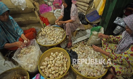 Pekerja mengupas bawang putih di pasar tradisional. ilustrasi