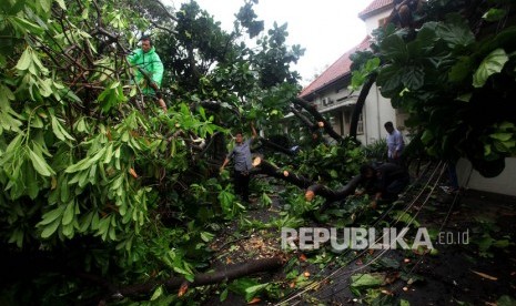 Warga membersihkan pohon yang tumbang akibat angin kencang di Kawasan Kota Baru, Yogyakarta, Jumat (14/2/2020). 