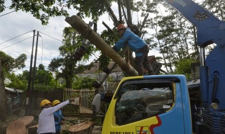 PT Perusahaan Listrik Negara (PLN) Unit Induk Distribusi (UID) Lampung menjalankan program keandalan listrik dengan memangkas sejumlah pohon yang mengganggu jaringan listrik. Foto petugas memindahkan tiang listrik yang roboh akibat tertimpa pohon tumbang di Bandar Lampung, Lampung, (ilustrasi). 