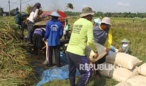 Petani memanen padi di salah satu kawasan lumbung padi di Ngawi, Jawa Timur, Jumat (21/2/2020).