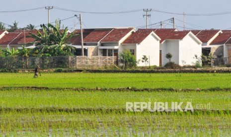 Petani beraktivitas di sekitar perumahan subsidi, Cikarang, Kabupaten Bekasi, Jawa Barat, Jum