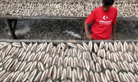 Warga penjemuran ikan tongkol yang telah dibersihkan untuk diolah menjadi ikan kayu (keumamah) di salah satu tempat pengolahan ikan Keumamah Desa Lampulo, Banda Aceh. (ilustrasi)