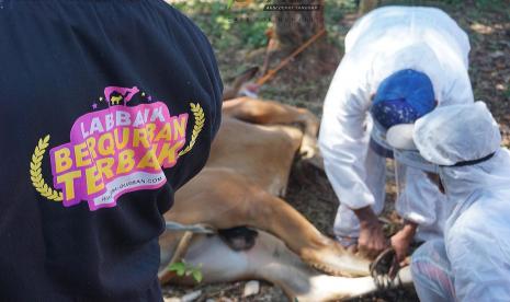 Relawan Global Qurban ACT Jawa Tengah mengenakan APD lengkap saat melakukan pemotongan hewan kurban, Sabtu (1/8). Kurban di Masa Pandemi, ACT Jawa Tengah terapkan protokol Kesehatan mulai dari pemotongan hewan kurban hingga distribusi daging kurban kepada masyarakat yang berhak.