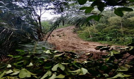 Pergerakan tanah di Desa Cikalong, Kecamatan Sodonghilir, Kabupaten Tasikmalaya.