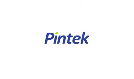 Pintek