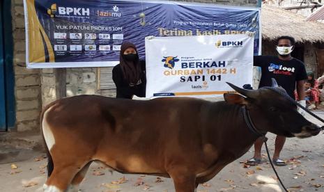 Hari Raya Idul Adha 1442 H, Badan Pengelola Keuangan Haji (BPKH) melaksanakan  program kemaslahatan menyalurkan 1000  ekor hewan kurban berupa sapi yang tersebar di 34 Provinsi di Indonesia. Lazismu sebagai mitra kolaborasi mendapat amanah itu yang kedua kali di tengah pandemi untuk meringankan beban masyarakat. 