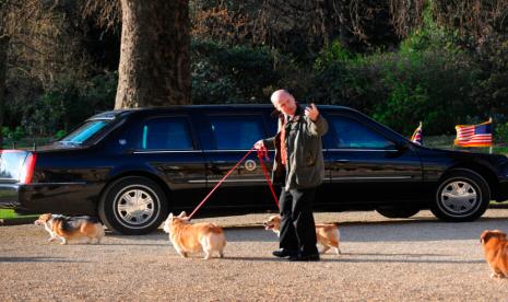 Corgi milik Ratu Inggris Elizabeth II dibawa jalan-jalan di halaman Istana Buckingham, pada 1 April 2009, melewati mobil Presiden AS Obama saat dia bertemu dengan Ratu. Corgis Ratu Elizabeth II adalah bagian penting dari kepribadian publiknya dan kematiannya telah menimbulkan kekhawatiran tentang siapa yang akan merawat anjing kesayangannya. Corgis selalu berada di sisinya dan menjalani kehidupan istimewa yang cocok untuk seorang bangsawan. Dia memiliki hampir 30 sepanjang hidupnya. Dia dilaporkan meninggalkan empat anjing.