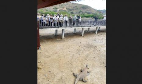 Iriana Jokowi saat meninjau kawasan Pulau Rinca, Taman Nasional Komodo (TNK), Kabupaten Manggarai Barat, Provinsi Nusa Tenggara Timur (NTT), pada Kamis (29/9/2022).