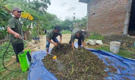 Para petani anggota Kelompok Masyarakat (Pokmas) ‘Ngudi Tirto Lestari’ Dukuh Turibang, Desa Sobokerto, Kecamatan Ngemplak, Kabupaten Boyolali mengolah enceng gondok menjadi pupuk organik, di Dukuh Turibang, Selasa (18/10).