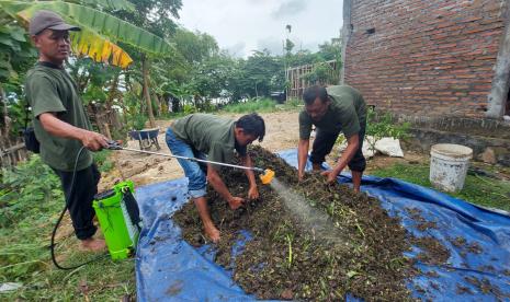 Para petani anggota Kelompok Masyarakat (Pokmas) ‘Ngudi Tirto Lestari’ Dukuh Turibang, Desa Sobokerto, Kecamatan Ngemplak, Kabupaten Boyolali mengolah enceng gondok menjadi pupuk organik, di Dukuh Turibang, Selasa (18/10). Pengamat pangan dari Asosiasi Ekonomi Politik Indonesia (AEPI) Khudori mengatakan rencana pemerintah memasukkan pupuk organik ke dalam jenis pupuk bersubsidi harus dibarengi dengan aturan main yang tepat.