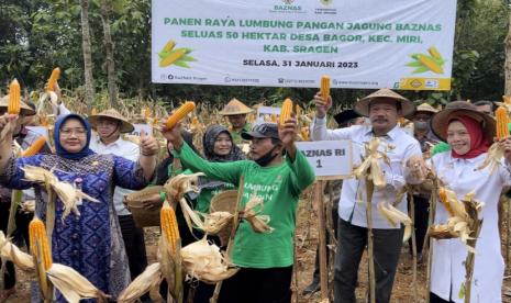 Simbolisasi panen raya perdana mustahik binaan Baznas, Selasa (31/1/2023), turut dihadiri Ketua Baznas RI, Prof Noor Achmad; Bupati Sragen, Kusdinar Untung Yuni Sukowati; Pimpinan Baznas RI Bidang Pendistribusian dan Pendayagunaan, Saidah Sakwan; Ketua Baznas Jawa Tengah, Ahmad Darodji; dan Ketua Baznas Sragen, Mustaqim.