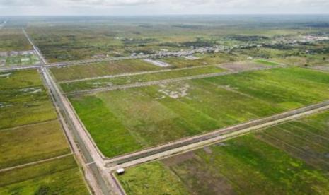 Lokasi Food Estate di wilayah Kapuas.