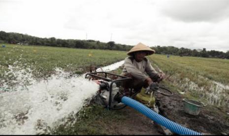 Kegiatan irigasi perpompaan yang dilaksanakan Direktorat Jenderal (Ditjen) Prasarana dan Sarana Pertanian (PSP) Kementerian Pertanian (Kementan), sangat membantu petani dalam mengairi sawah.  (ilustrasi).