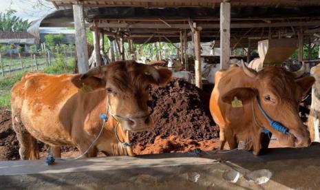 Kementerian Pertanian (Kementan) memberikan bantuan Unit Pengolah Pupuk Organik (UPPO) kepada Kelompok Tani Mekar Tani 1 di Desa Trimulyo, Kecamatan Tegineneng, Kabupaten Pesawaran, Provinsi Lampung. 