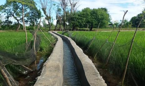 Para petani di Kabupaten Semarang bersiap menghadapi fenomena El Nino yang diperkirakan bakal melanda wilayah Provinsi Jawa Tengah.