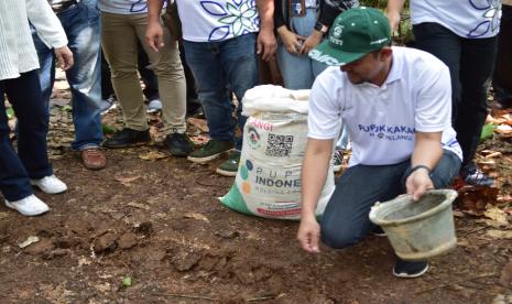 SVP PSO Barat PT Pupuk Indonesia, Fickry Martawisuda melakukan pemupukan perdana NPK Kakao di Desa Kecapi, Kalianda, Kabupaten Lampung Selatan, Lampung, Rabu (14/6/2023).   