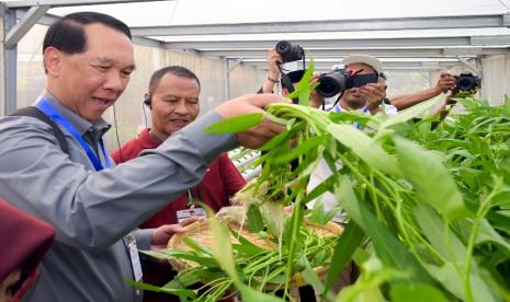 Delegasi pemerintah Laos mendapat pelajaran dari kunjungannya ke Paguyuban Gerakan Pertanian (Pagertani) di Perumahan Depok Maharaja, RW 12, Kelurahan Rangkapan Jaya, Kecamatan Pancoran Mas, Kota Depok, Jawa Barat. 