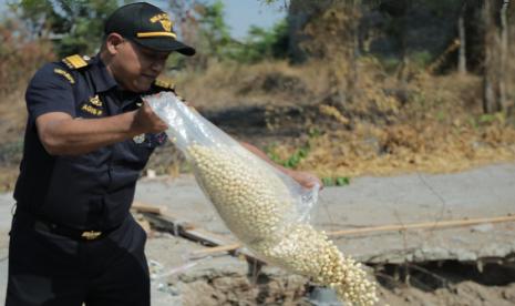 Bea Cukai Tanjung Perak musnahkan barang-barang ilegal hasil penindakan yang telah berstatus sebagai barang yang menjadi milik negara (BMMN), Jumat (27/10/2023) di Plant PT Sinergi Jelma Anugerah, Pasuruan.