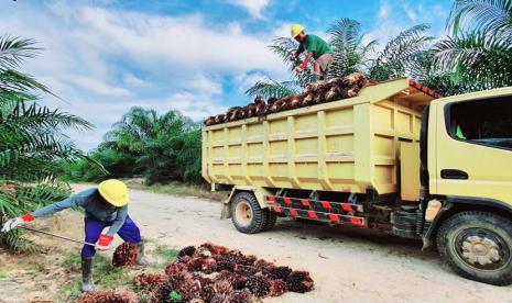 Sub Holding PTPN III (Persero) PT Perkebunan Nusantara IV PalmCo mendukung mandatori B35 yang diterapkan pemerintah.