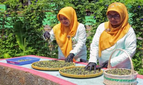 Melalui BRI Bertani di Kota (BRInita), masyarakat di daerah tersebut mampu menghasilkan sayur mayur di lahan yang sempit. Dari keterbatasan lahan, mereka mampu menghasilkan produk unggulan teh herbal yang dimanfaatkan sebagai cuan tambahan. 