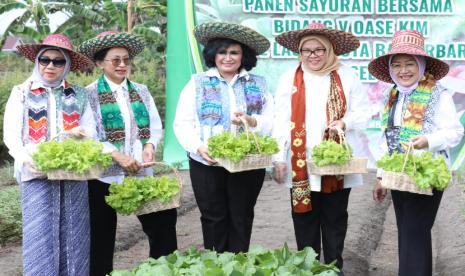 Sumber pangan tidak melulu berasal dari tanaman yang ada di sawah ataupun ladang namun juga bisa disediakan sendiri, yakni melalui pemanfaatan pekarangan. 