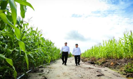 Menteri Pertanian (Mentan) Andi Amran Sulaiman membantah tudingan pemberitaan media masa yang menyebut adanya tanaman jagung dengan media tanam pot atau polybag.