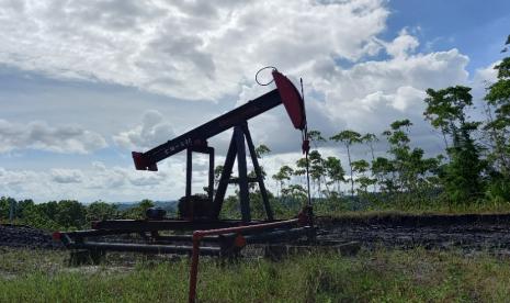 Salah satu sumur minyak di wilayah Pertamina EP Papua Field, Kabupaten Sorong, Papua Barat.