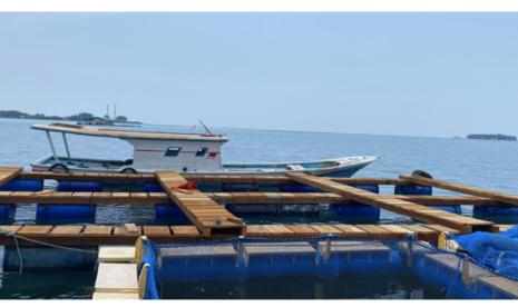 Keramba jaring apung (KJA), yang dikelola oleh LKM Wisata, dapat menampung 1.000 bibit ikan kerapu.