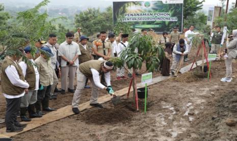 Pertamina EP dan SKK Migas menjadi salah satu tuan rumah penyelenggaraan program Penanaman Pohon Serentak nasional yang digelar Kementerian Kehutanan di seluruh Indonesia pada Selasa (14/1/2025).