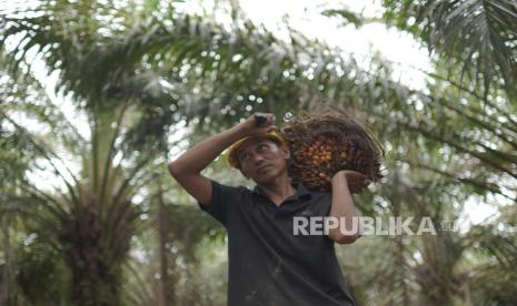 NTP Agustus 2026 Tembus Rekor Tertinggi 129,19, Ini Pendorongnya