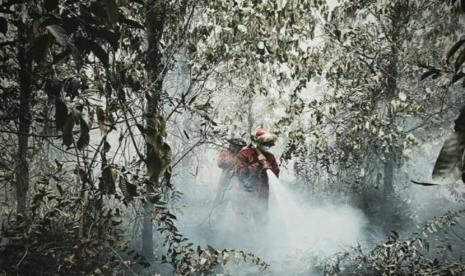 tata-kelola-lahan-jadi-kunci-pencegahan-kebakaran-hutan-dan-lahan