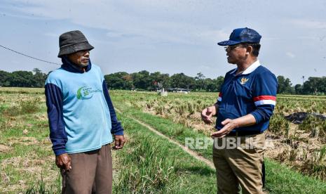 mardiono-dukung-penuh-langkah-strategis-mentan-amran-lindungi-petani-dukung-ketahanan-pangan