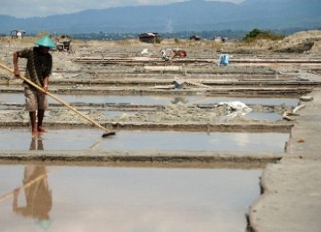 A farmer collects dried salt during the harvest time in Palu, Central Sulawesi.