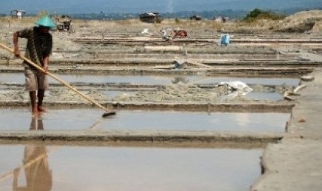 A farmer collects dried salt during the harvest time in Palu, Central Sulawesi.