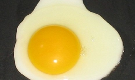 A fried egg (illustration)