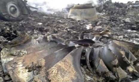 A general view shows the site of a Malaysia Airlines Boeing 777 plane crash in the settlement of Grabovo in the Donetsk region, July 17, 2014.