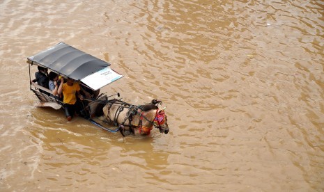 A horse pulls a carriage in a flooded street in Jakarta on Monday, Jan. 13, 2014. 