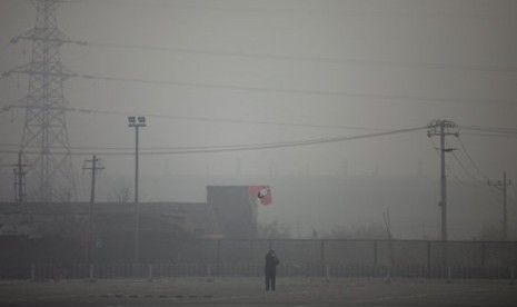 A man flies a kite near electricity pylons on a hazy day in Beijing Saturday, Jan. 12, 2013. Air pollution levels in China's notoriously dirty capital were at dangerous levels Saturday, with cloudy skies blocking out visibility and warnings issued for peop