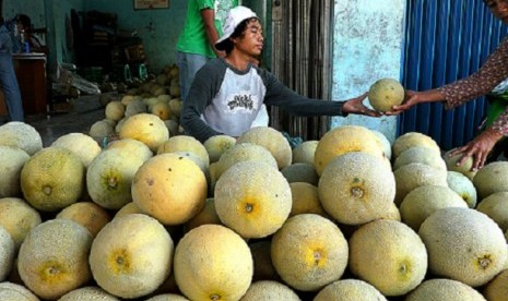  A man sells melons in his stall in Serang, Banten. Rich of fiber and water makes melon as another favorite fruit for iftar (breaking the fast). No wonder the demands of melon can be as many as double during Ramadhan.  