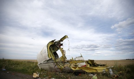 A part of the wreckage is seen at the crash site of the Malaysia Airlines Flight MH17 near the village of Hrabove (Grabovo), in the Donetsk region, Ukraine, July 21, 2014.